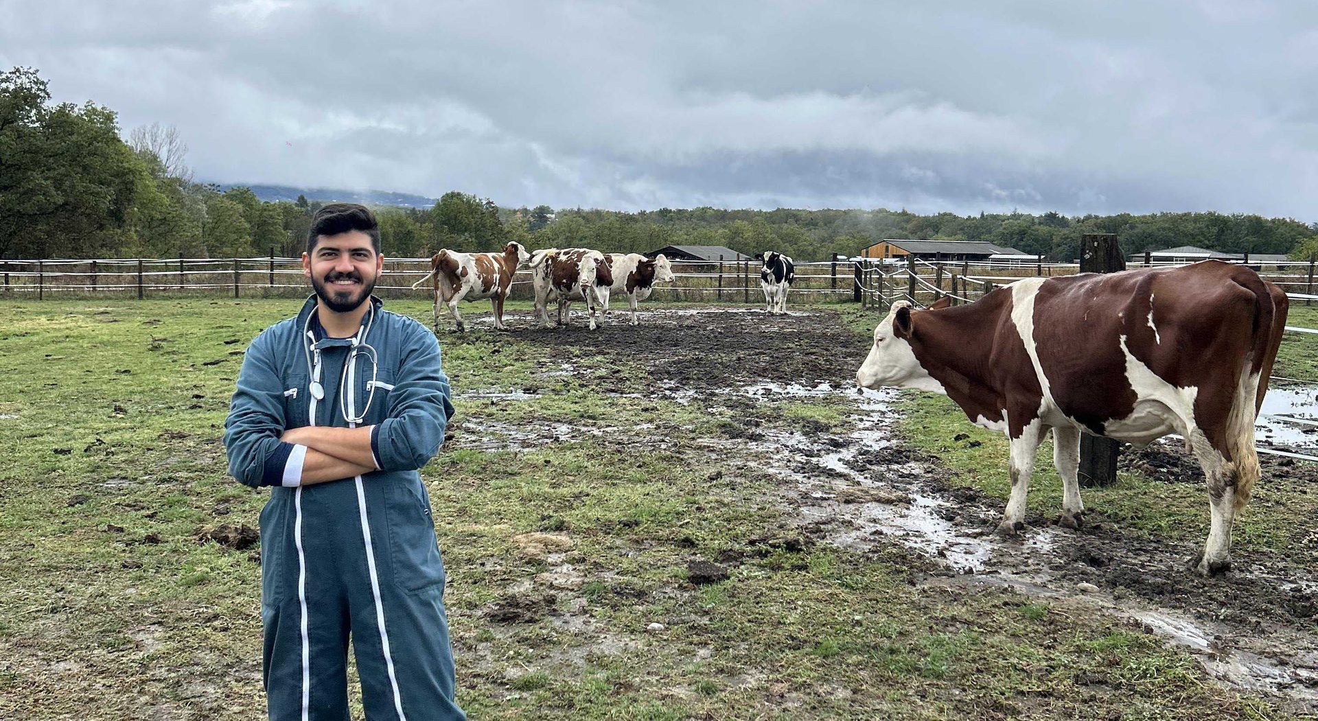 Dr Joseph Abou Nasser standing in a pasture among his client's dairy cows