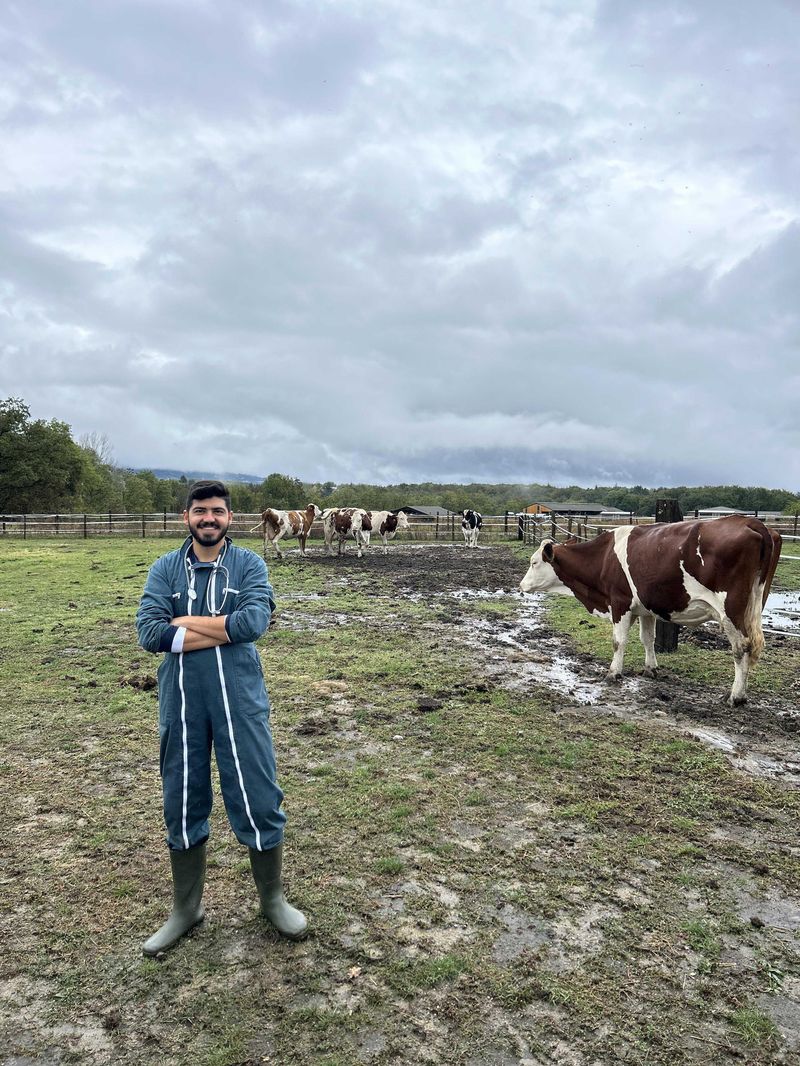 Dr Joseph on a pasture visit, surrounded by the herd