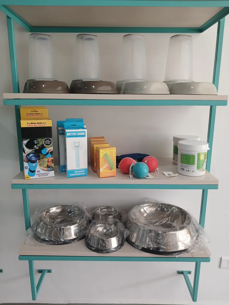 Shelves of pet accessories — bowls, brushes and toys