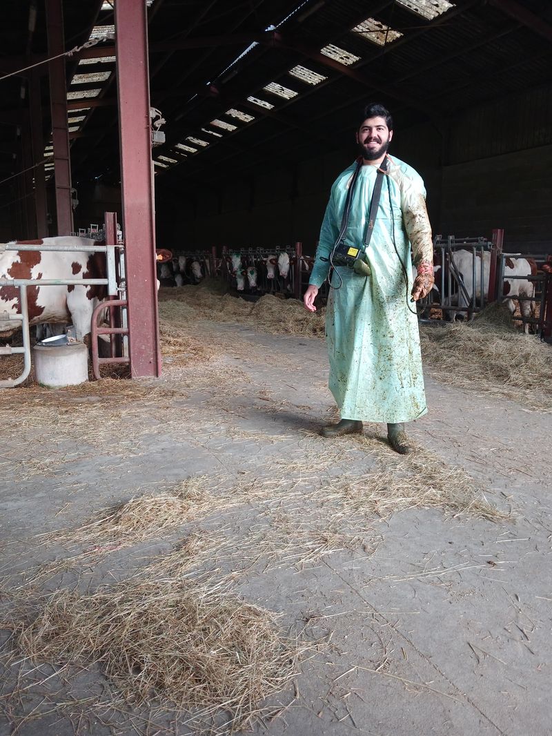 Dr Joseph with ultrasound scanning equipment in a dairy barn